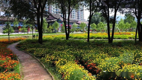 临夏市 推进城市绿化建设 为打造魅力花都 建设公园城市 增绿增色